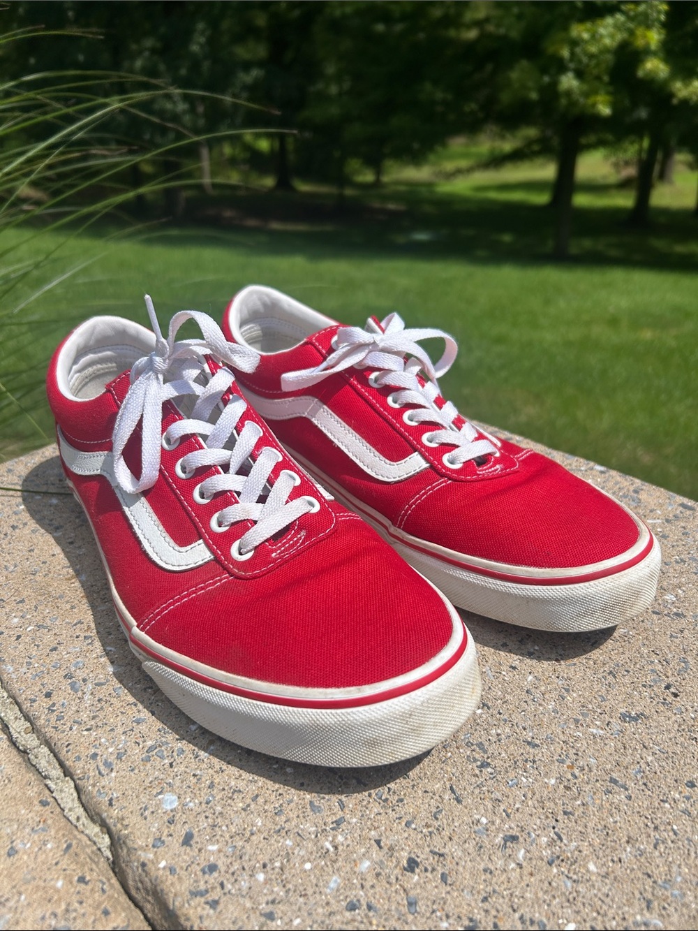 Vans Red Canvas Low-Top Sneakers - Picture 2 of 6